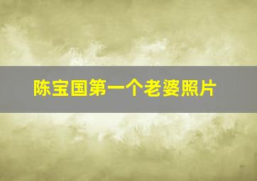 陈宝国第一个老婆照片