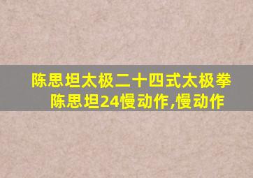 陈思坦太极二十四式太极拳陈思坦24慢动作,慢动作