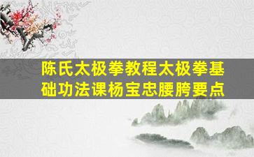 陈氏太极拳教程太极拳基础功法课杨宝忠腰胯要点