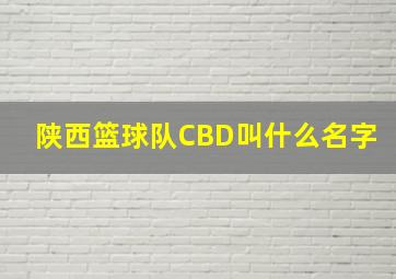 陕西篮球队CBD叫什么名字