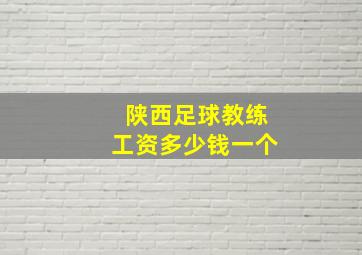 陕西足球教练工资多少钱一个