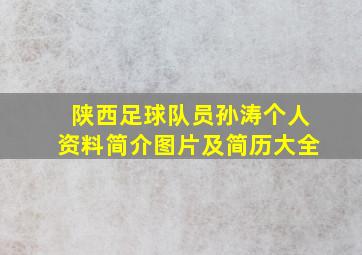 陕西足球队员孙涛个人资料简介图片及简历大全