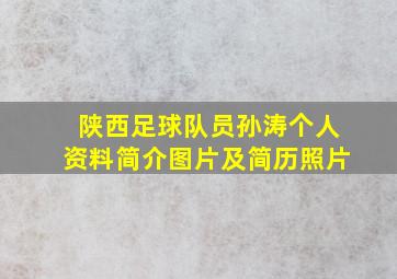 陕西足球队员孙涛个人资料简介图片及简历照片