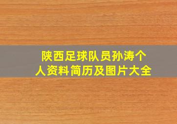 陕西足球队员孙涛个人资料简历及图片大全