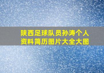 陕西足球队员孙涛个人资料简历图片大全大图