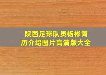 陕西足球队员杨彬简历介绍图片高清版大全