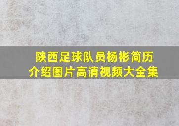 陕西足球队员杨彬简历介绍图片高清视频大全集