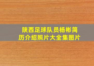 陕西足球队员杨彬简历介绍照片大全集图片