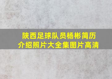 陕西足球队员杨彬简历介绍照片大全集图片高清