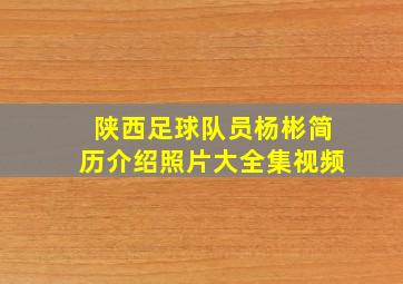 陕西足球队员杨彬简历介绍照片大全集视频