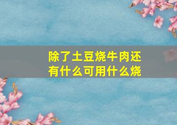 除了土豆烧牛肉还有什么可用什么烧