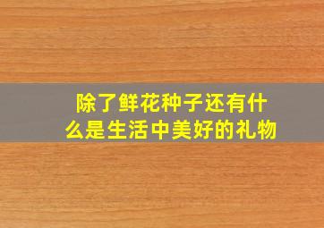 除了鲜花种子还有什么是生活中美好的礼物