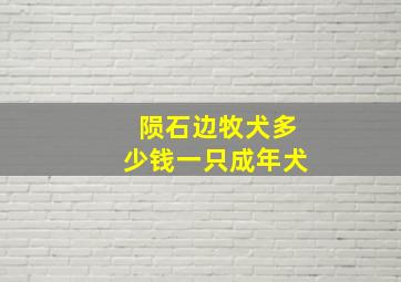 陨石边牧犬多少钱一只成年犬