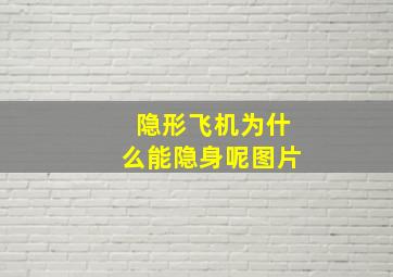 隐形飞机为什么能隐身呢图片