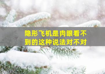 隐形飞机是肉眼看不到的这种说法对不对