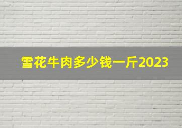 雪花牛肉多少钱一斤2023