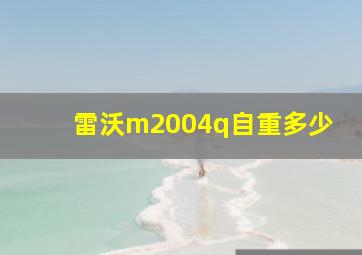 雷沃m2004q自重多少