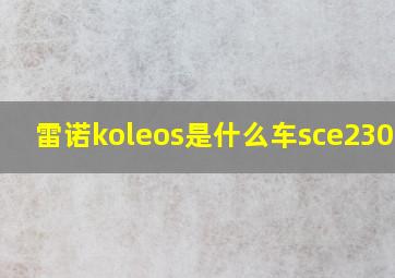 雷诺koleos是什么车sce2304wd