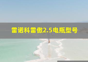 雷诺科雷傲2.5电瓶型号