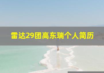 雷达29团高东瑞个人简历