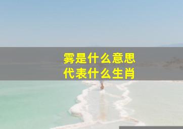 雾是什么意思代表什么生肖