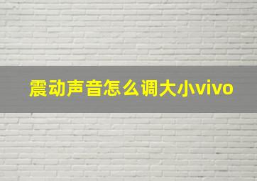 震动声音怎么调大小vivo