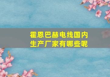 霍恩巴赫电线国内生产厂家有哪些呢