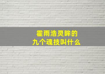 霍雨浩灵眸的九个魂技叫什么