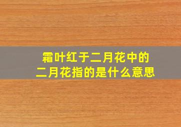 霜叶红于二月花中的二月花指的是什么意思