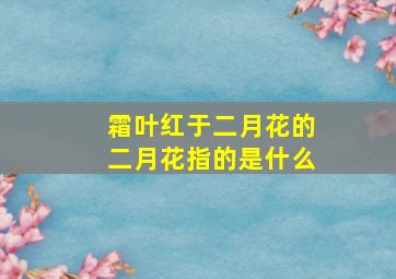 霜叶红于二月花的二月花指的是什么