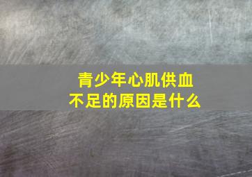 青少年心肌供血不足的原因是什么