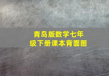 青岛版数学七年级下册课本背面图