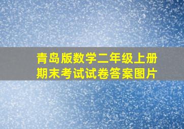 青岛版数学二年级上册期末考试试卷答案图片