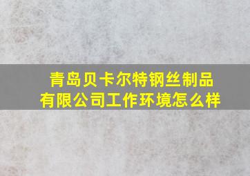 青岛贝卡尔特钢丝制品有限公司工作环境怎么样