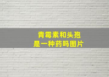 青霉素和头孢是一种药吗图片