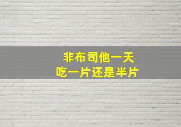 非布司他一天吃一片还是半片