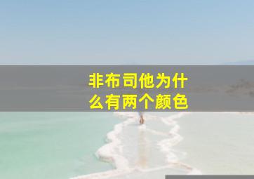 非布司他为什么有两个颜色