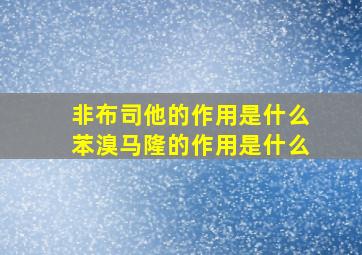 非布司他的作用是什么苯溴马隆的作用是什么