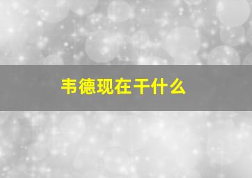 韦德现在干什么