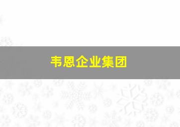 韦恩企业集团