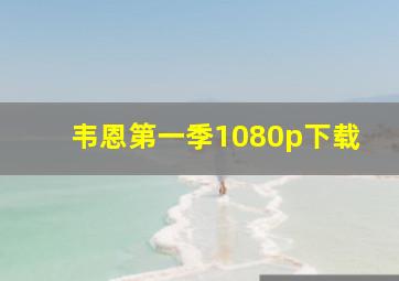 韦恩第一季1080p下载