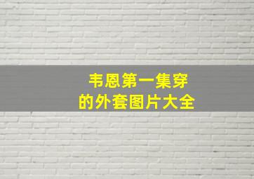 韦恩第一集穿的外套图片大全