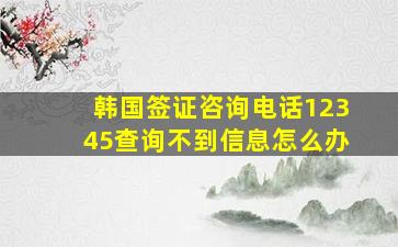 韩国签证咨询电话12345查询不到信息怎么办