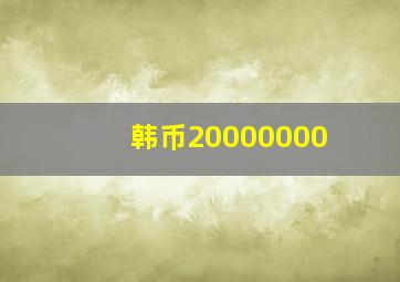 韩币20000000