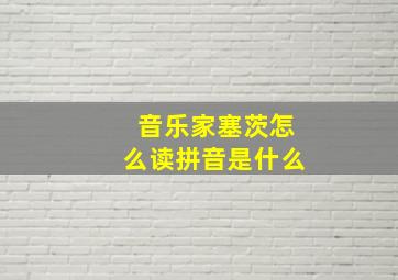 音乐家塞茨怎么读拼音是什么