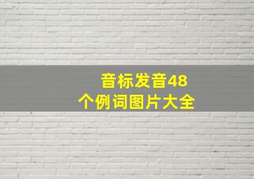 音标发音48个例词图片大全