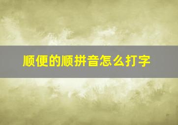 顺便的顺拼音怎么打字