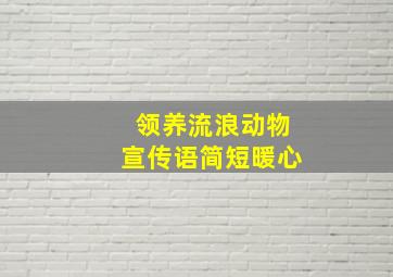 领养流浪动物宣传语简短暖心