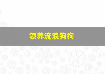 领养流浪狗狗