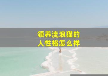 领养流浪猫的人性格怎么样